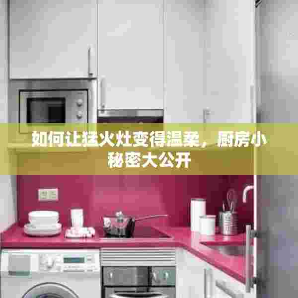 如何让猛火灶变得温柔，厨房小秘密大公开