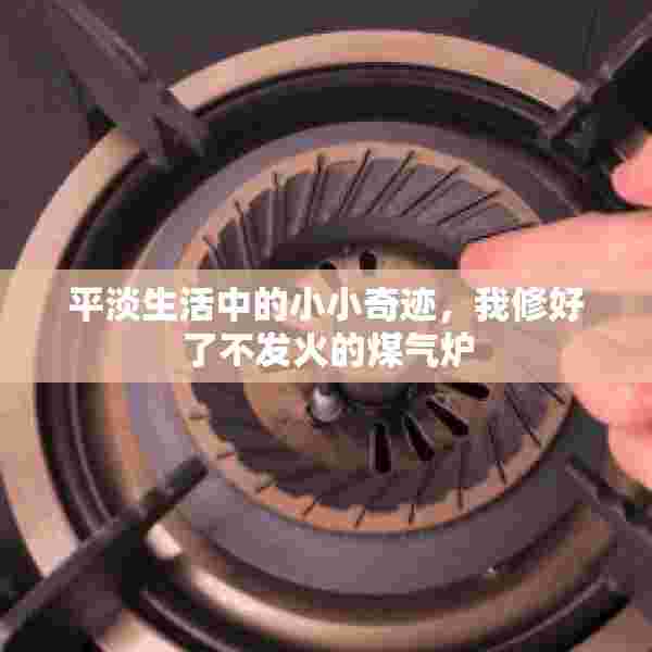 平淡生活中的小小奇迹，我修好了不发火的煤气炉