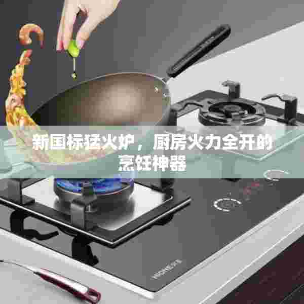 新国标猛火炉，厨房火力全开的烹饪神器