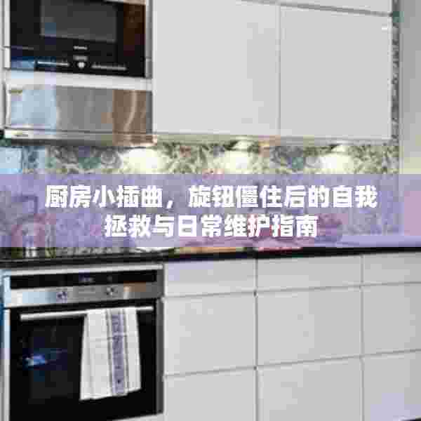 厨房小插曲，旋钮僵住后的自我拯救与日常维护指南