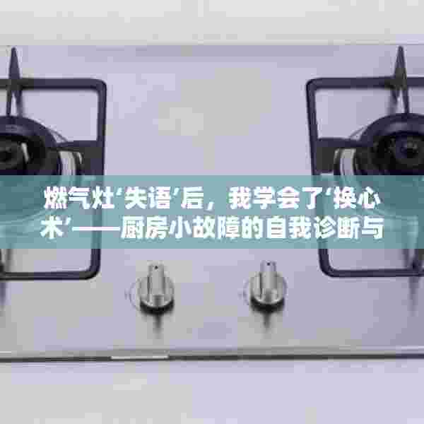 燃气灶‘失语’后，我学会了‘换心术’——厨房小故障的自我诊断与解决