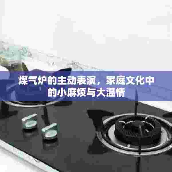 煤气炉的主动表演，家庭文化中的小麻烦与大温情