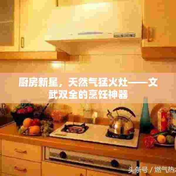 厨房新星，天然气猛火灶——文武双全的烹饪神器