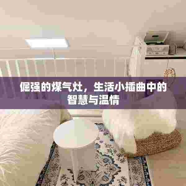 倔强的煤气灶，生活小插曲中的智慧与温情