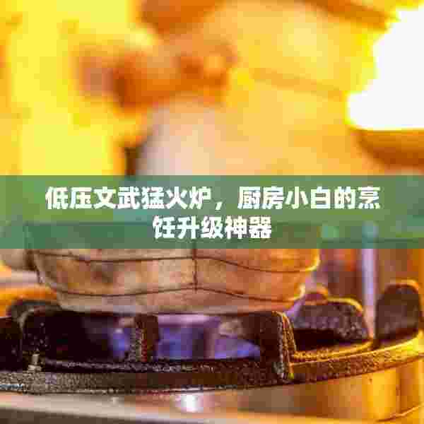 低压文武猛火炉，厨房小白的烹饪升级神器