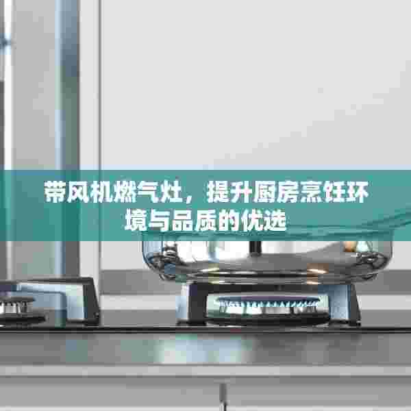 带风机燃气灶，提升厨房烹饪环境与品质的优选