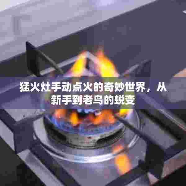 猛火灶手动点火的奇妙世界，从新手到老鸟的蜕变