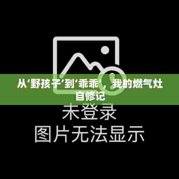 从‘野孩子’到‘乖乖’，我的燃气灶自修记
