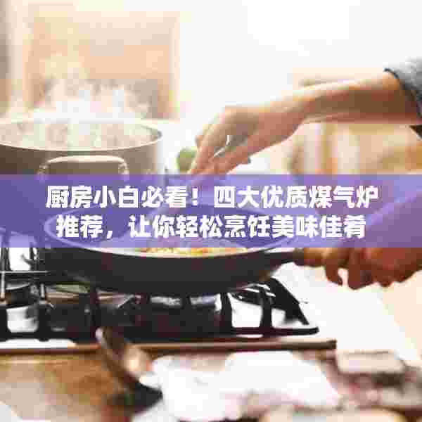 厨房小白必看！四大优质煤气炉推荐，让你轻松烹饪美味佳肴