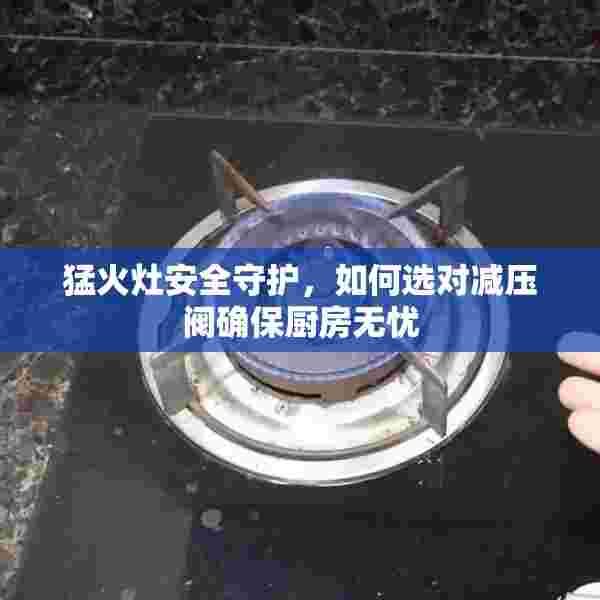 猛火灶安全守护，如何选对减压阀确保厨房无忧