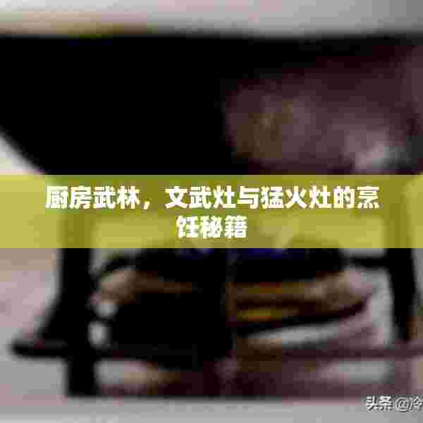 厨房武林，文武灶与猛火灶的烹饪秘籍