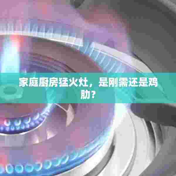 家庭厨房猛火灶，是刚需还是鸡肋？