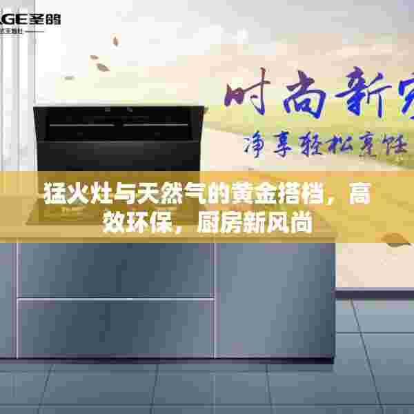 猛火灶与天然气的黄金搭档，高效环保，厨房新风尚