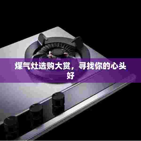 煤气灶选购大赏，寻找你的心头好