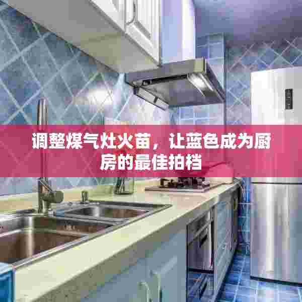 调整煤气灶火苗，让蓝色成为厨房的最佳拍档