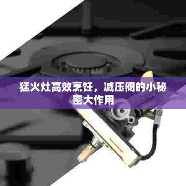 猛火灶高效烹饪，减压阀的小秘密大作用