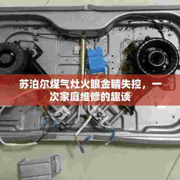 苏泊尔煤气灶火眼金睛失控，一次家庭维修的趣谈