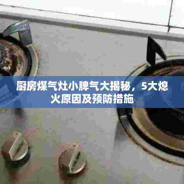 厨房煤气灶小脾气大揭秘，5大熄火原因及预防措施