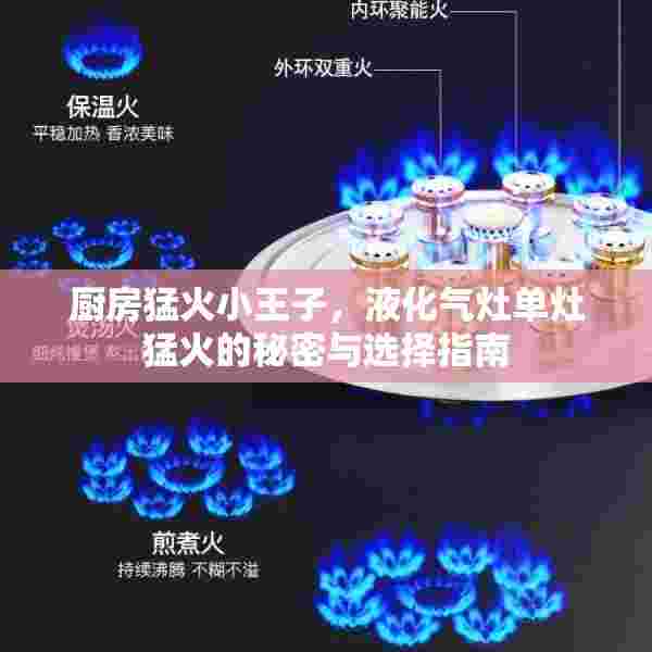 厨房猛火小王子，液化气灶单灶猛火的秘密与选择指南