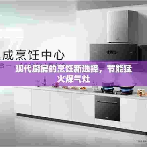 现代厨房的烹饪新选择，节能猛火煤气灶