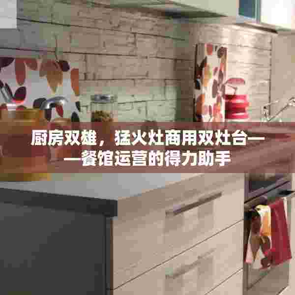 厨房双雄，猛火灶商用双灶台——餐馆运营的得力助手