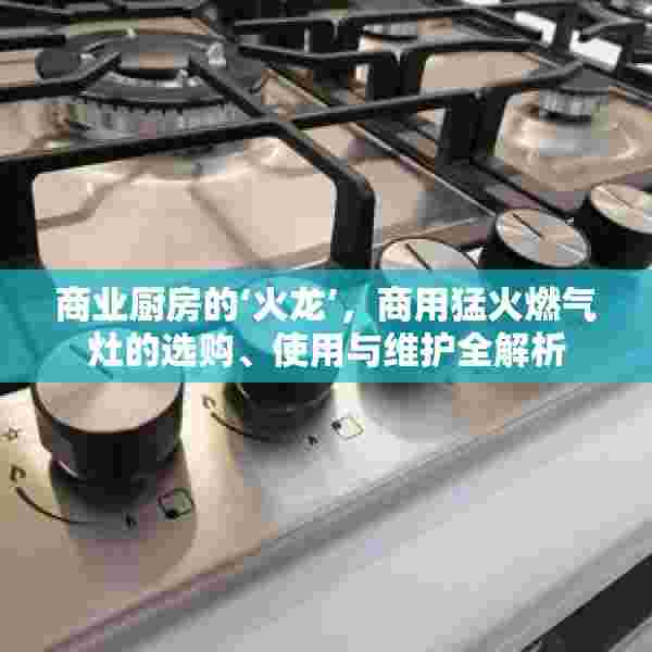 商业厨房的‘火龙’，商用猛火燃气灶的选购、使用与维护全解析