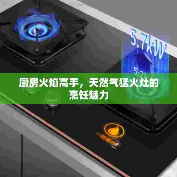 厨房火焰高手，天然气猛火灶的烹饪魅力