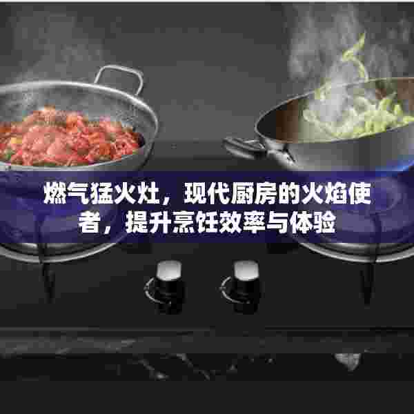燃气猛火灶，现代厨房的火焰使者，提升烹饪效率与体验