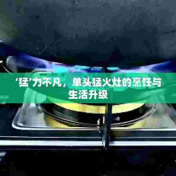 ‘猛’力不凡，单头猛火灶的烹饪与生活升级