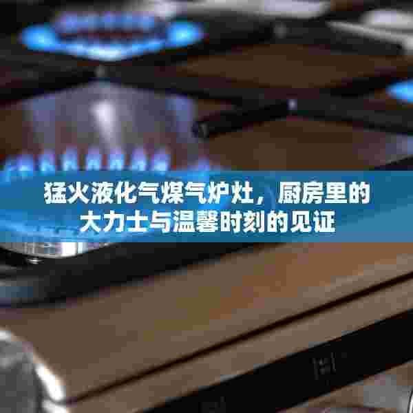 猛火液化气煤气炉灶，厨房里的大力士与温馨时刻的见证
