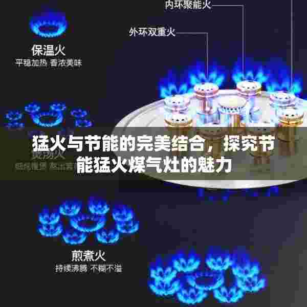 猛火与节能的完美结合，探究节能猛火煤气灶的魅力