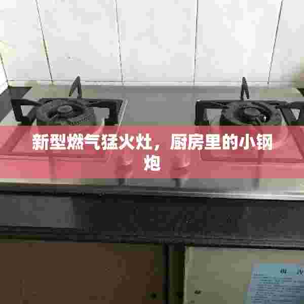 新型燃气猛火灶，厨房里的小钢炮