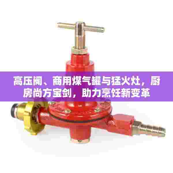 高压阀、商用煤气罐与猛火灶，厨房尚方宝剑，助力烹饪新变革