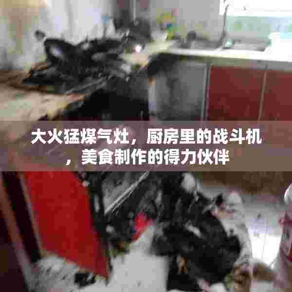 大火猛煤气灶，厨房里的战斗机，美食制作的得力伙伴