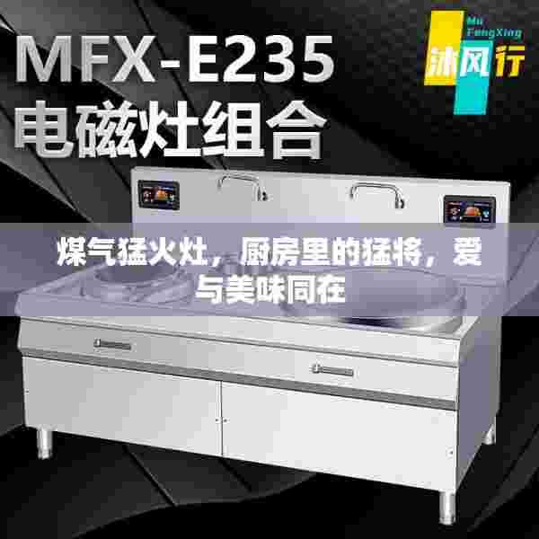 煤气猛火灶，厨房里的猛将，爱与美味同在