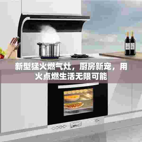 新型猛火燃气灶，厨房新宠，用火点燃生活无限可能