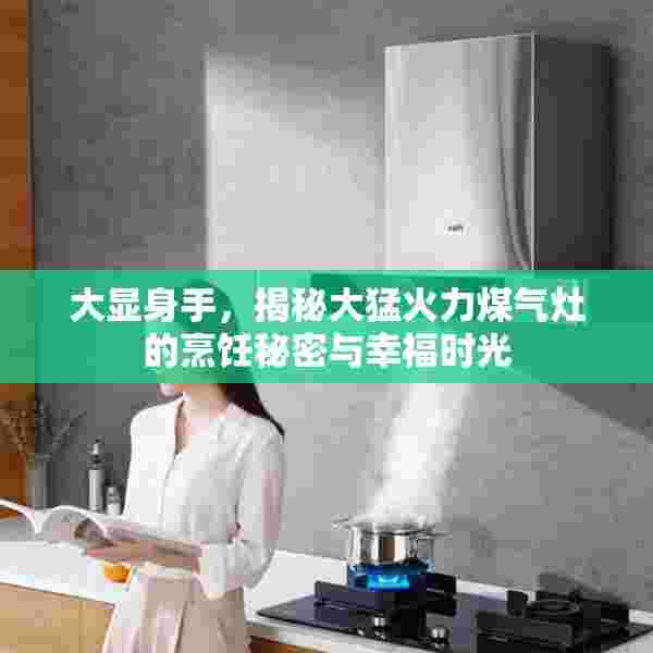 大显身手，揭秘大猛火力煤气灶的烹饪秘密与幸福时光