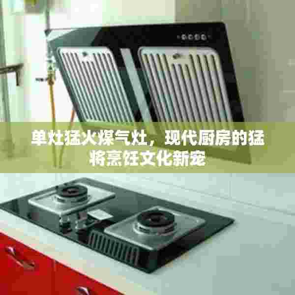 单灶猛火煤气灶，现代厨房的猛将烹饪文化新宠