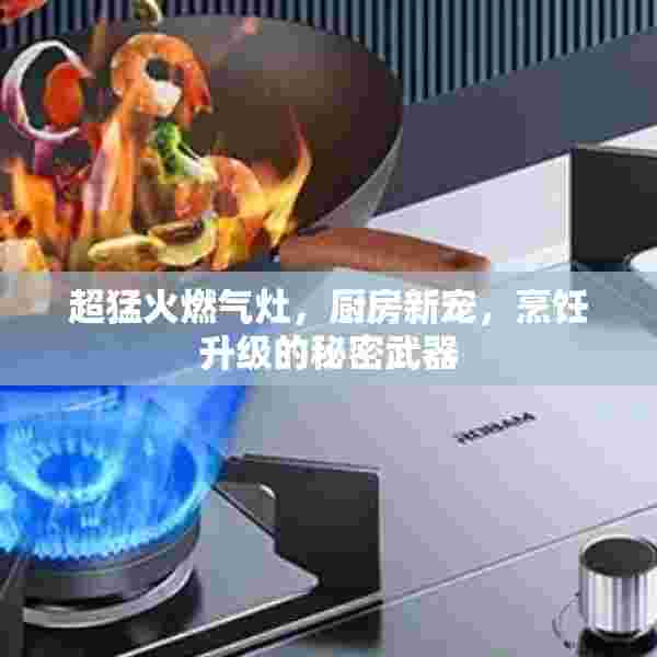 超猛火燃气灶，厨房新宠，烹饪升级的秘密武器
