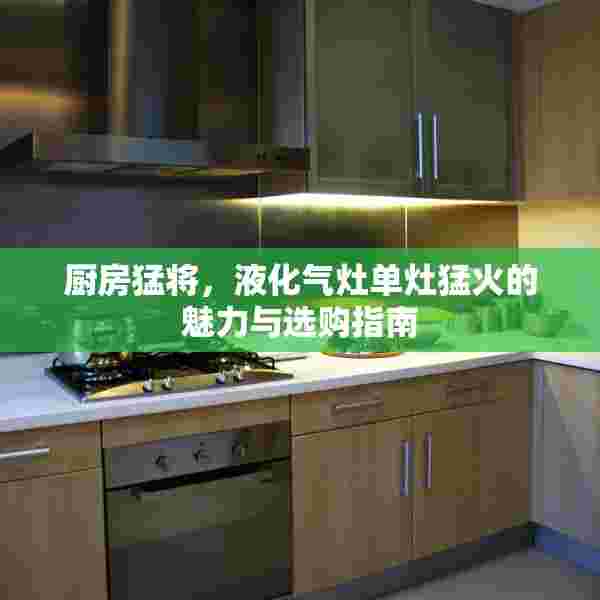 厨房猛将，液化气灶单灶猛火的魅力与选购指南