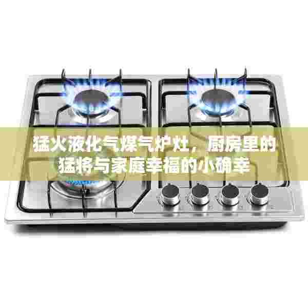 猛火液化气煤气炉灶，厨房里的猛将与家庭幸福的小确幸