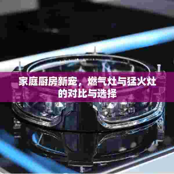 家庭厨房新宠，燃气灶与猛火灶的对比与选择