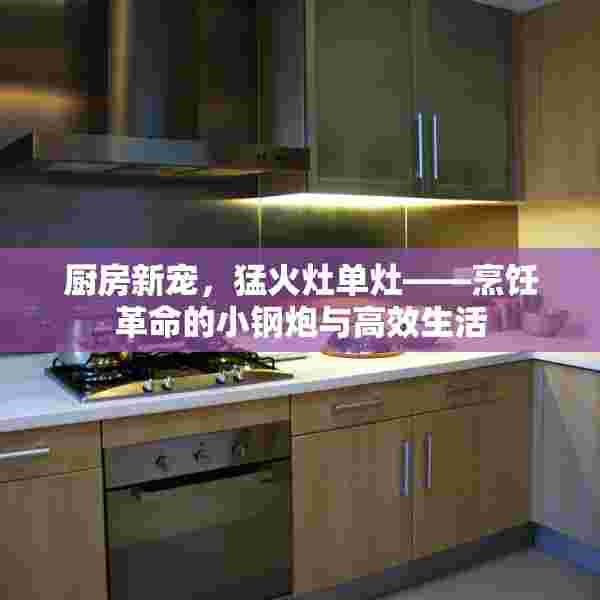 厨房新宠，猛火灶单灶——烹饪革命的小钢炮与高效生活