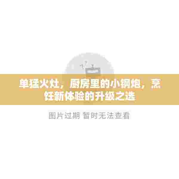 单猛火灶，厨房里的小钢炮，烹饪新体验的升级之选