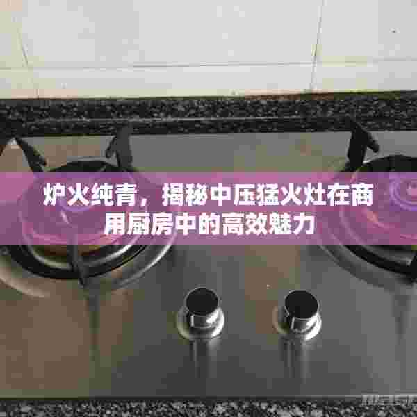 炉火纯青，揭秘中压猛火灶在商用厨房中的高效魅力