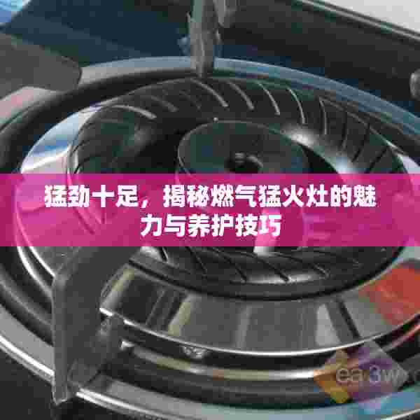猛劲十足，揭秘燃气猛火灶的魅力与养护技巧