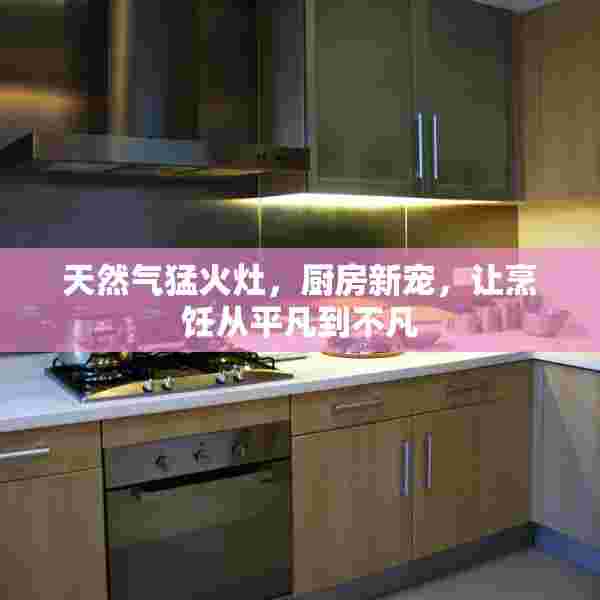 天然气猛火灶，厨房新宠，让烹饪从平凡到不凡