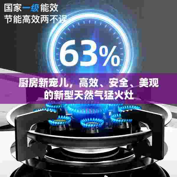厨房新宠儿，高效、安全、美观的新型天然气猛火灶