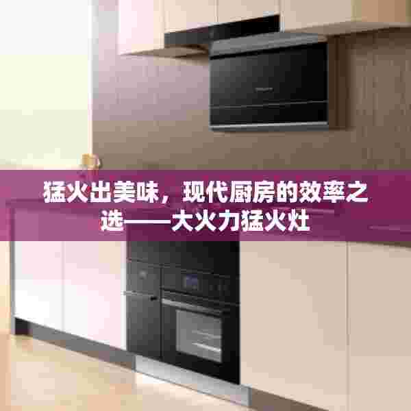 猛火出美味，现代厨房的效率之选——大火力猛火灶