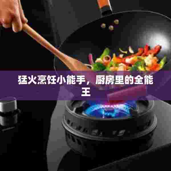 猛火烹饪小能手，厨房里的全能王